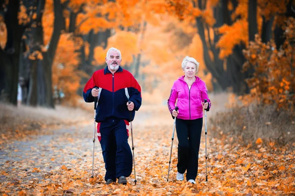 elderly man and woman nordic walking towards camera on aroad carpeted with autumn red leaves from the trees alongside