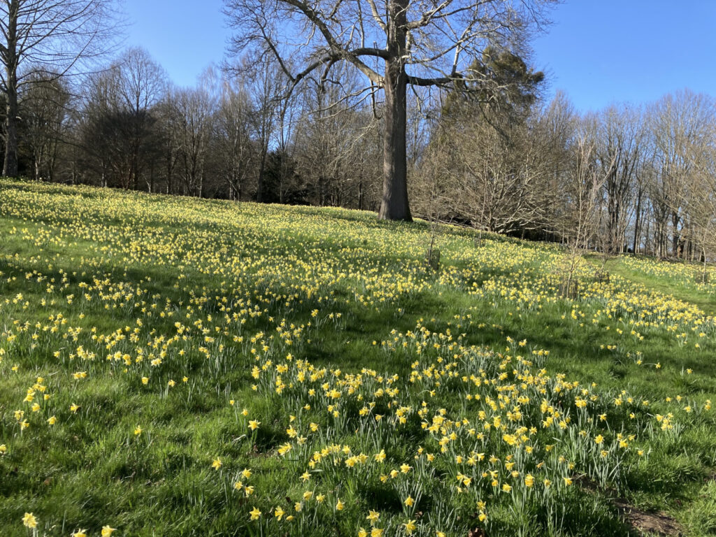 Petwort House Visit